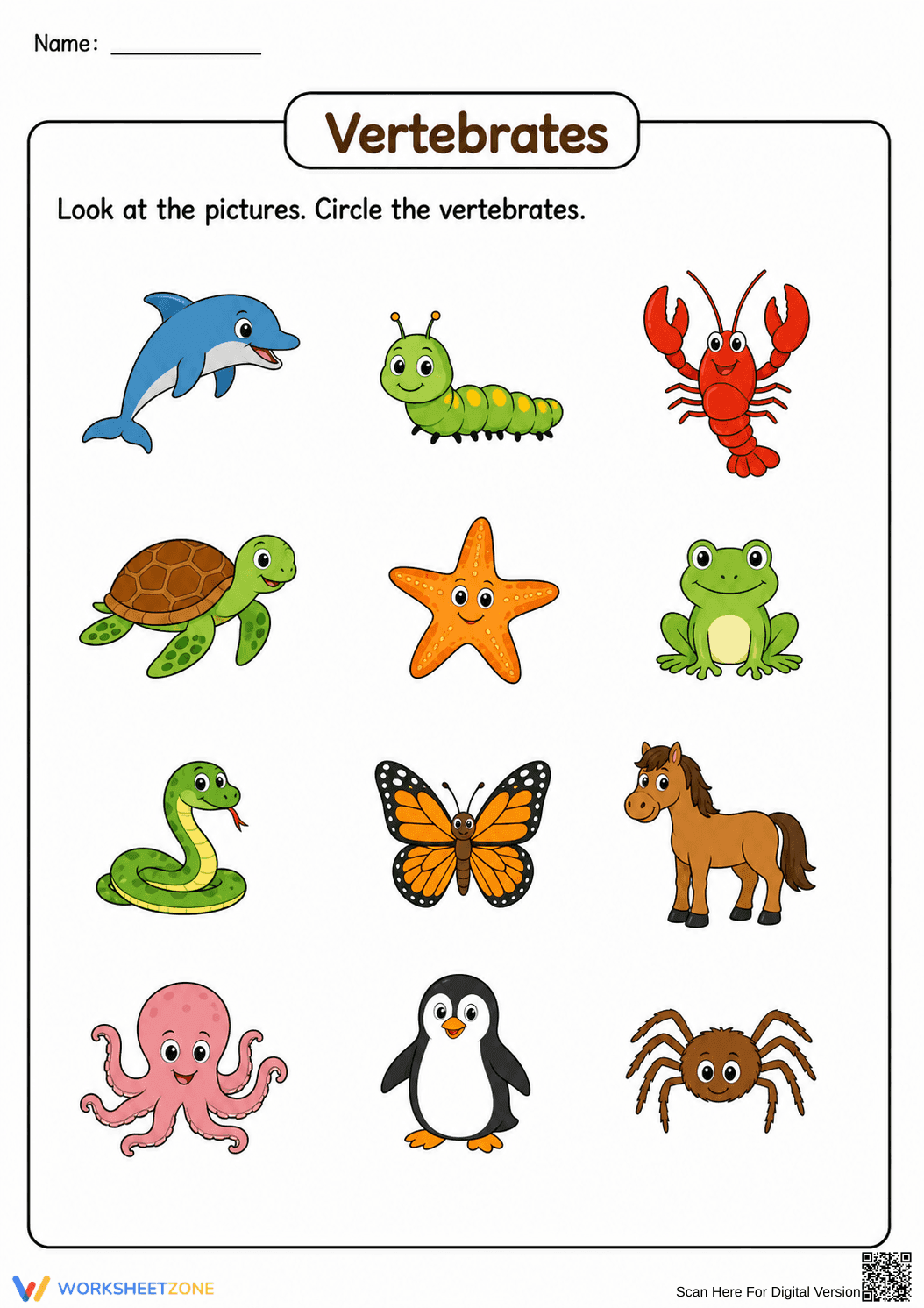 Essential Vertebrates Worksheet | Grade 2-4 Printable - Page 1