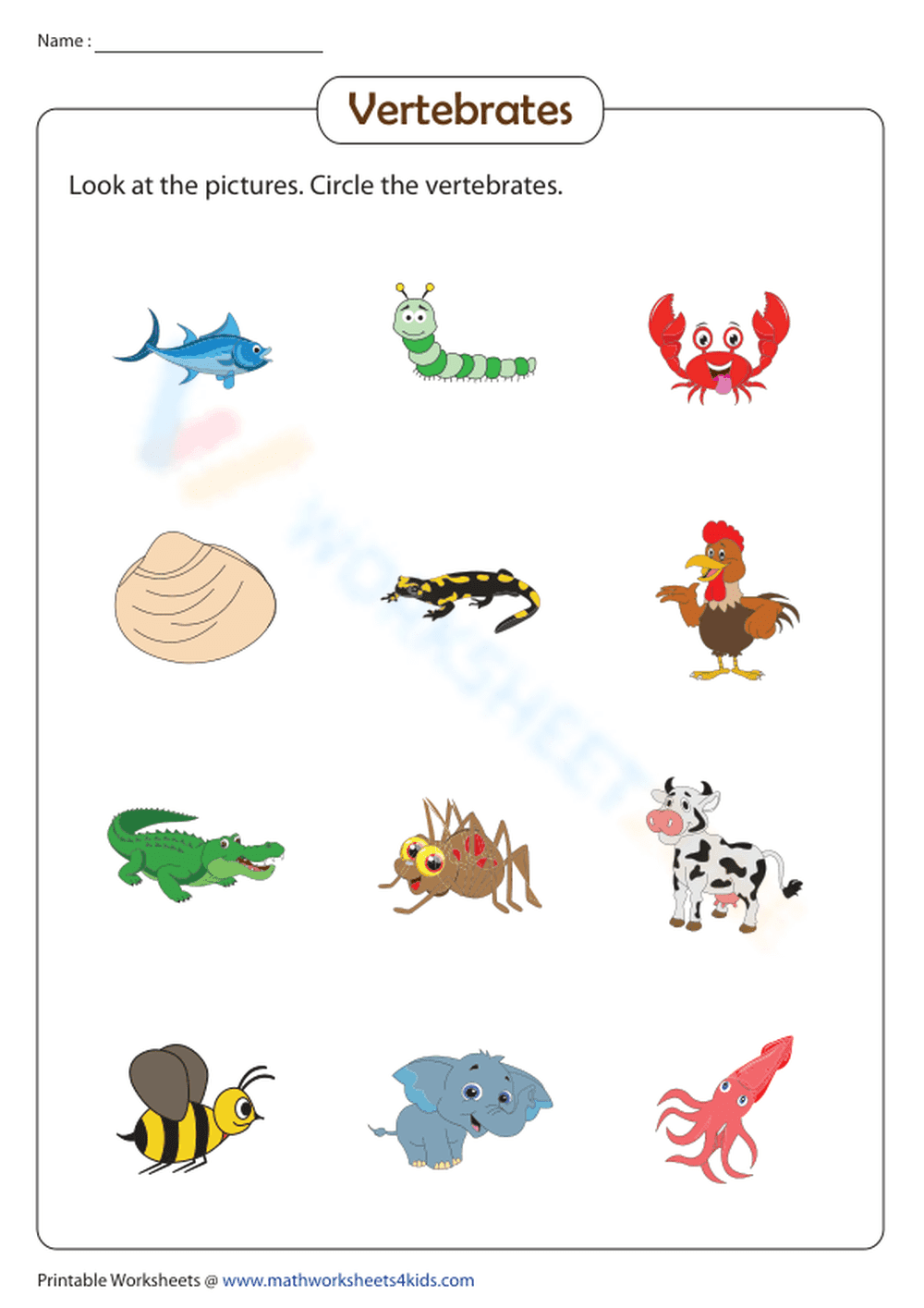 Essential Vertebrates Worksheet | Grade 2-4 Printable - Page 1