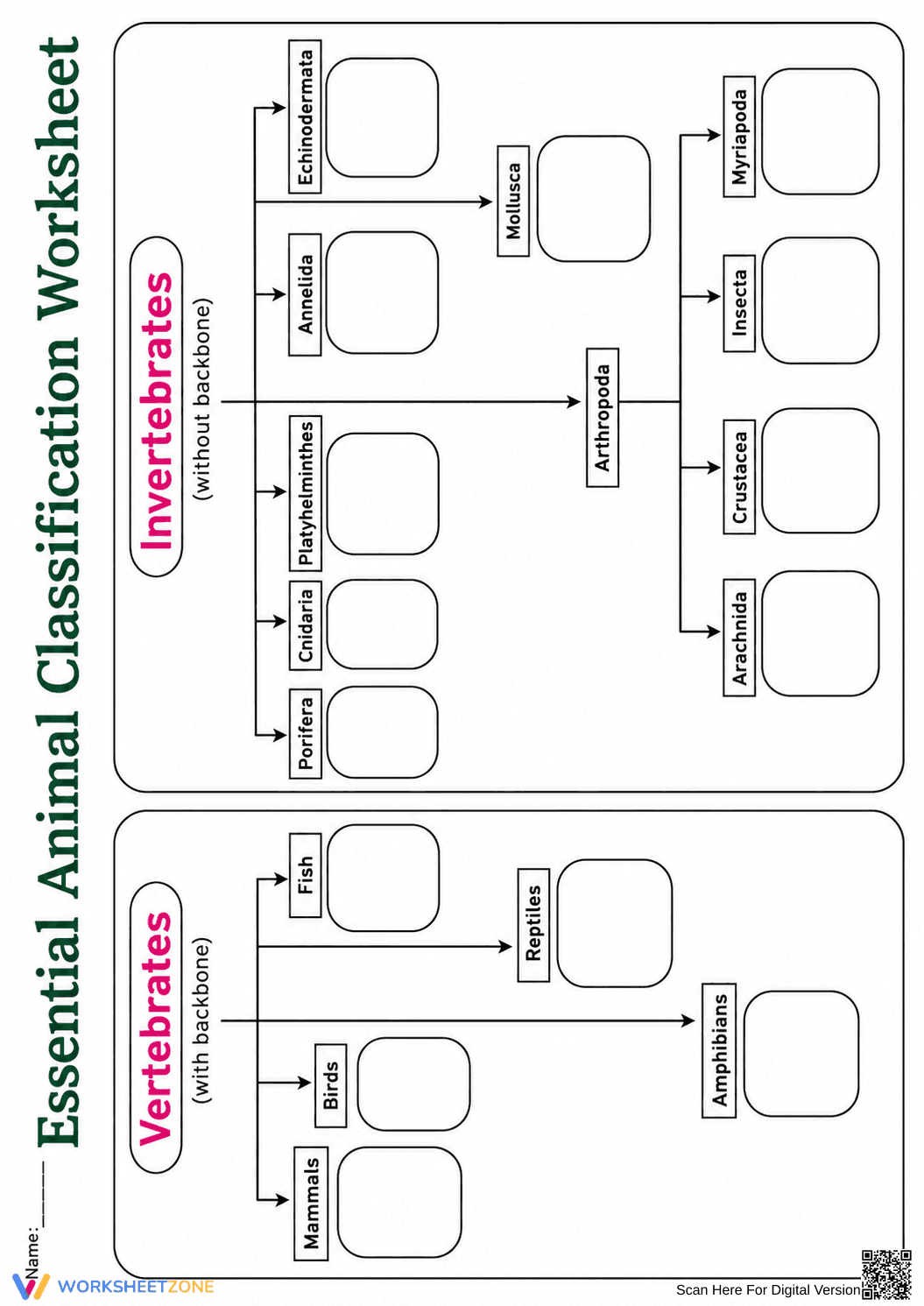 Essential Animal Classification Worksheet | Grades 2-4 - Page 1