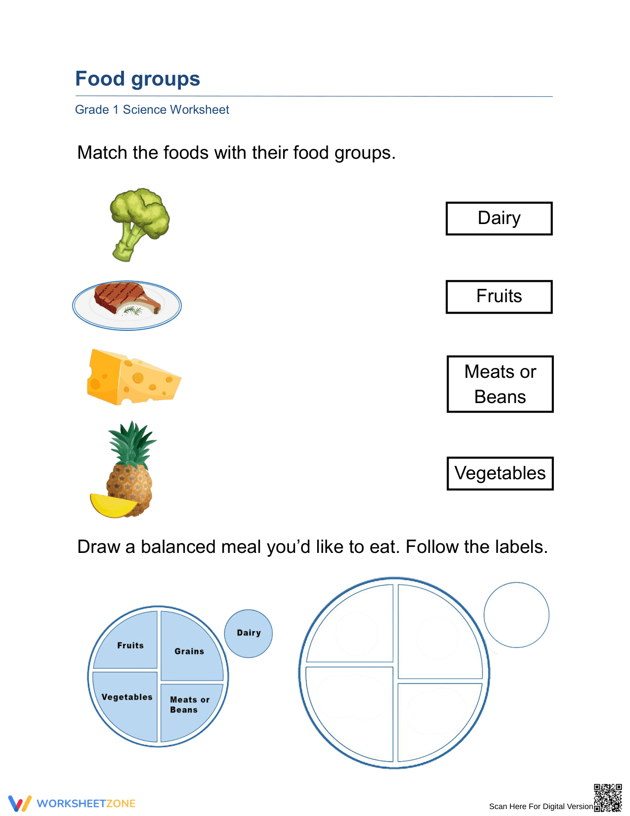 Printable Food Groups Worksheet | Grade 1 Science - Page 1