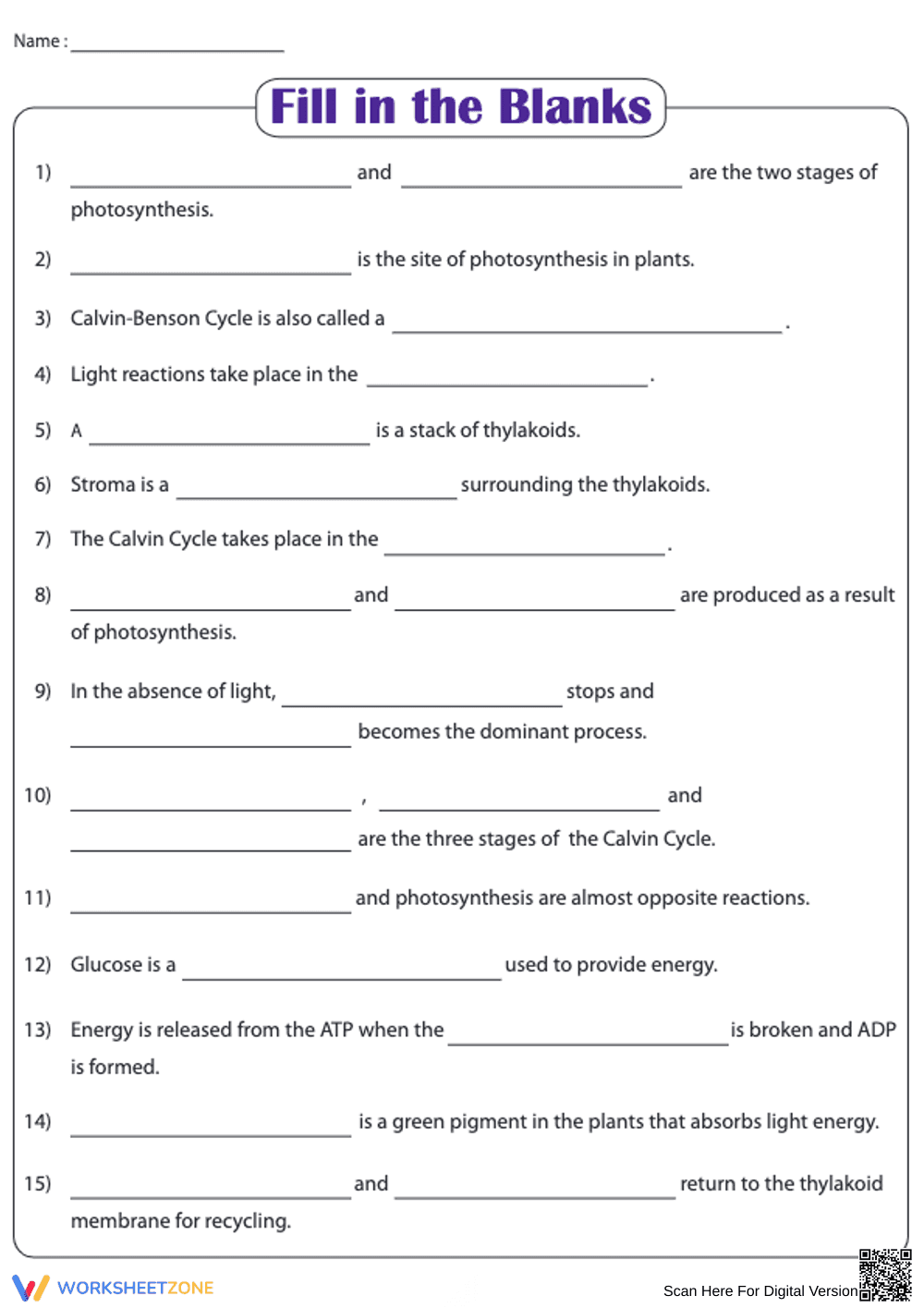 Essential Photosynthesis Worksheet | Grade 3 Science - Page 1