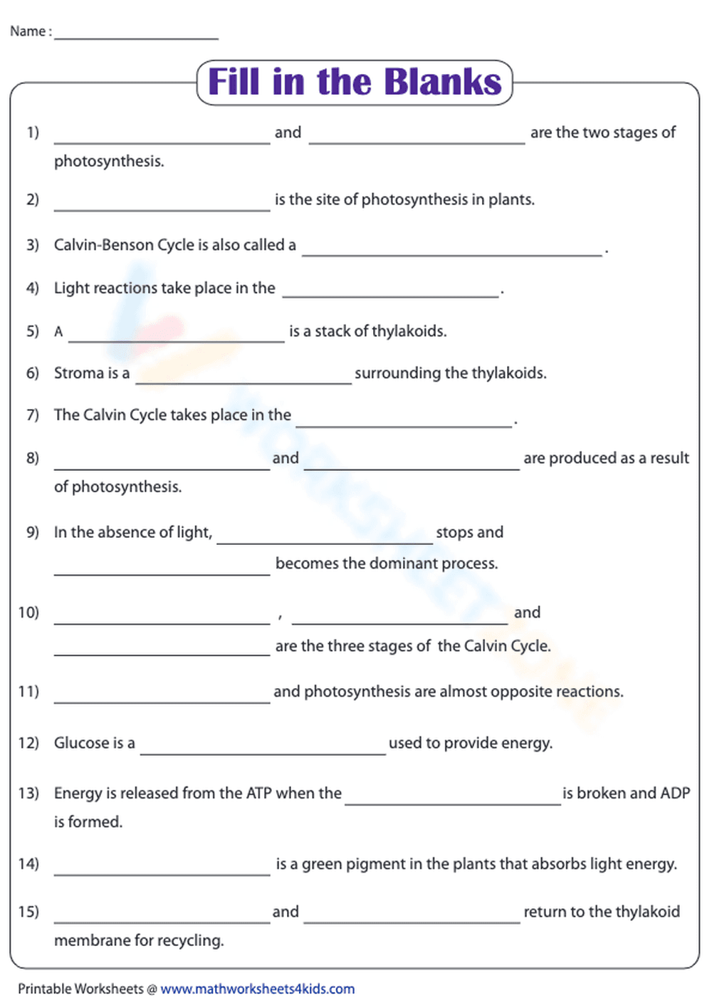 Essential Photosynthesis Worksheet | Grade 3 Science - Page 1