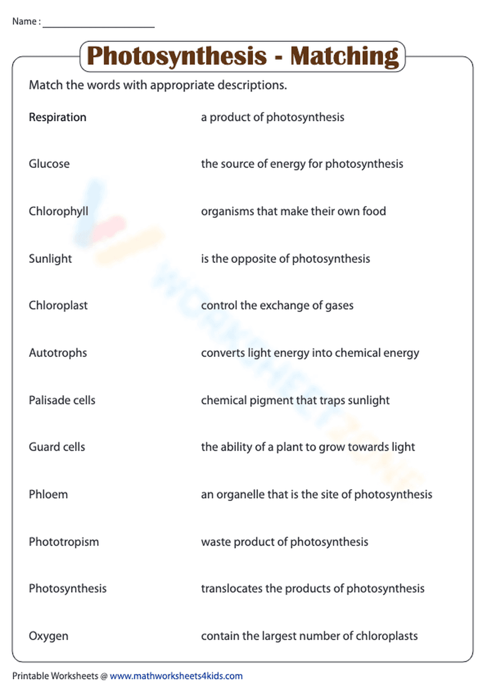 Photosynthesis - Matching Worksheet - Page 1