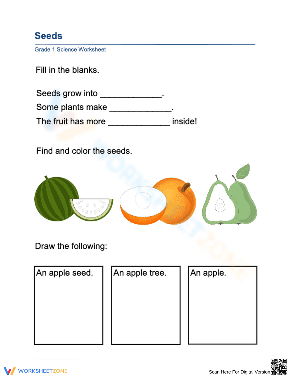Essential Grade 1 Seeds and Plant Growth Worksheet - Page 1