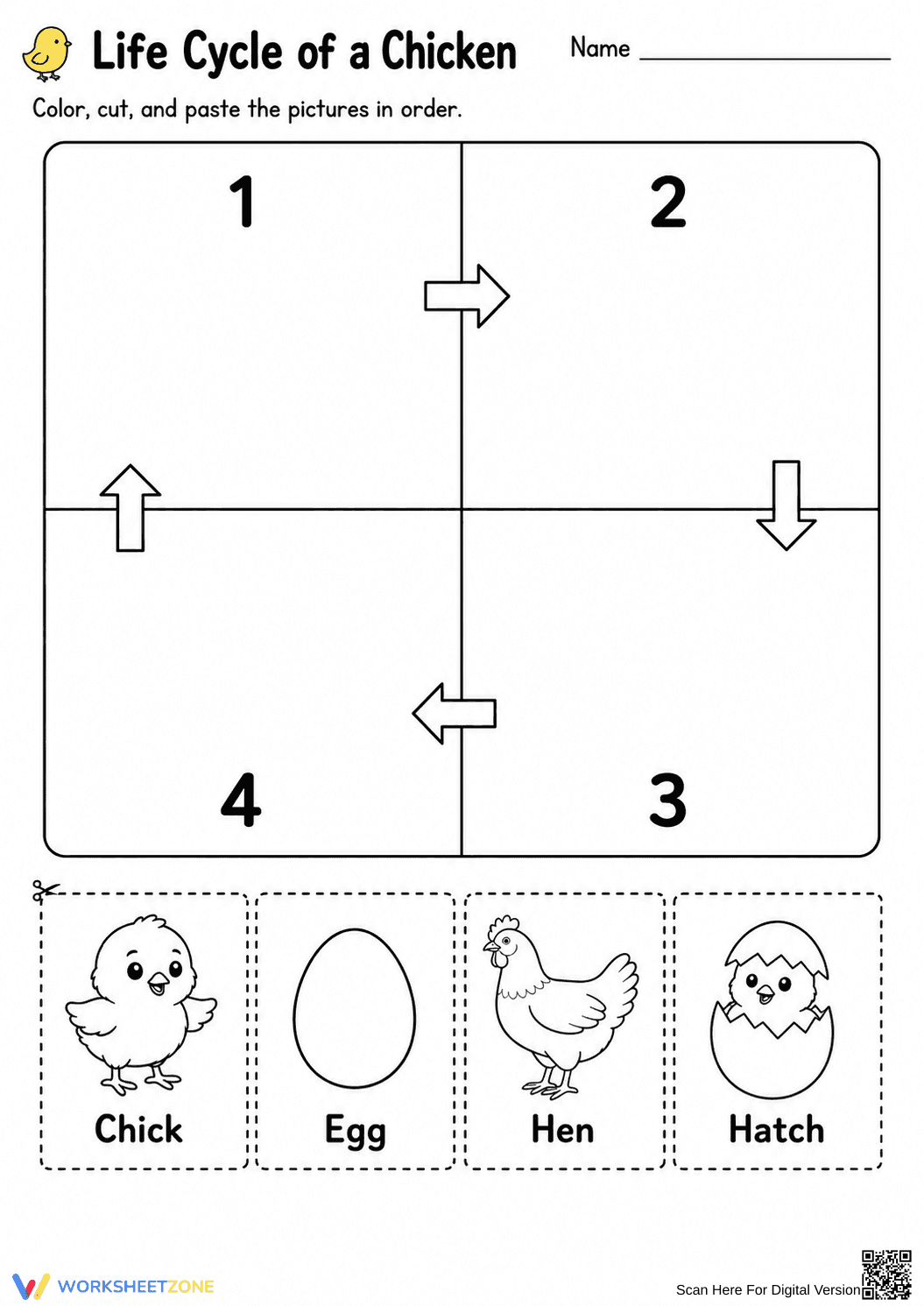 Grade 1 Chicken Life Cycle — Printable No-Prep Worksheet - Page 1