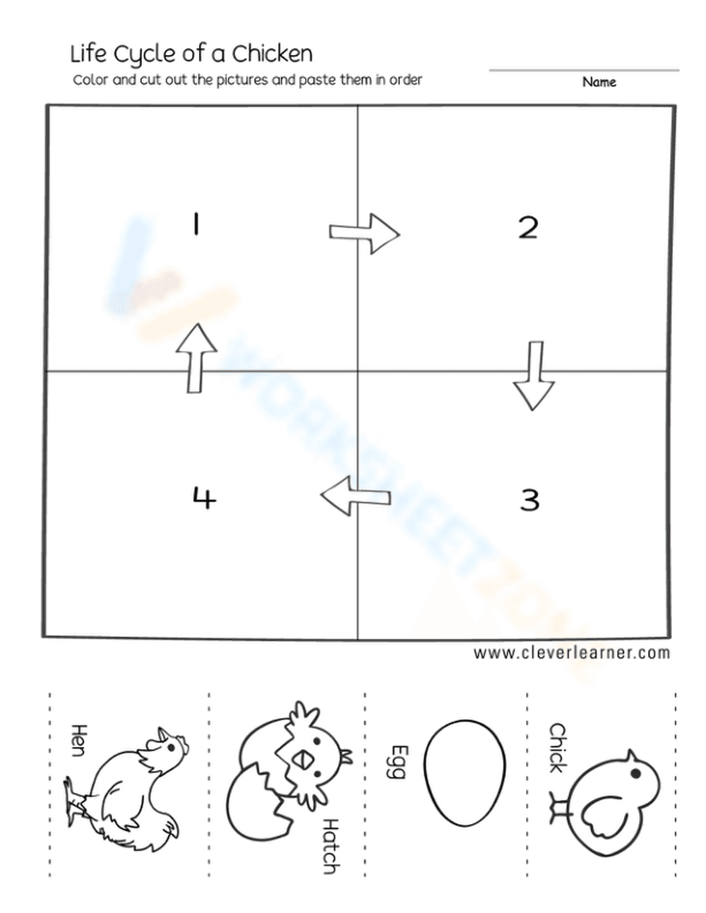 Grade 1 Chicken Life Cycle Worksheet – Printable & Ready - Page 1