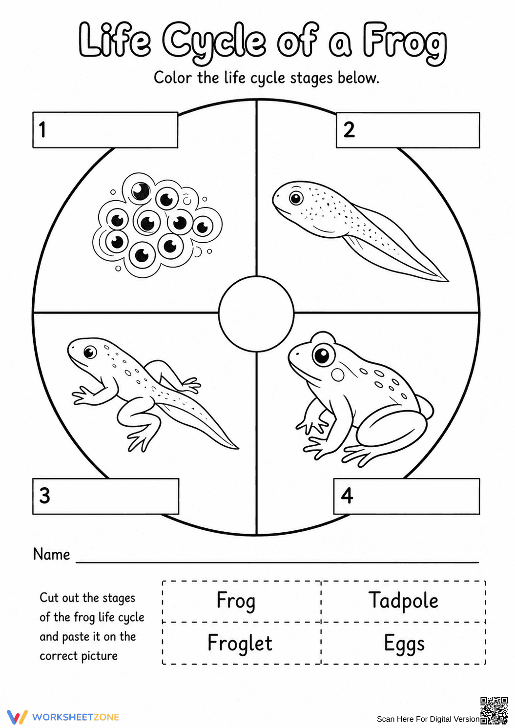 Grade 4 Frog Life Cycle — Printable No-Prep Worksheet - Page 1