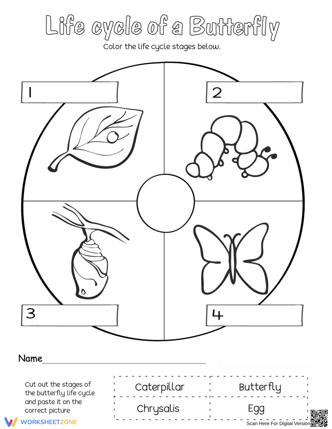 Essential Butterfly Life Cycle Worksheet | Grade K-1 - Page 1