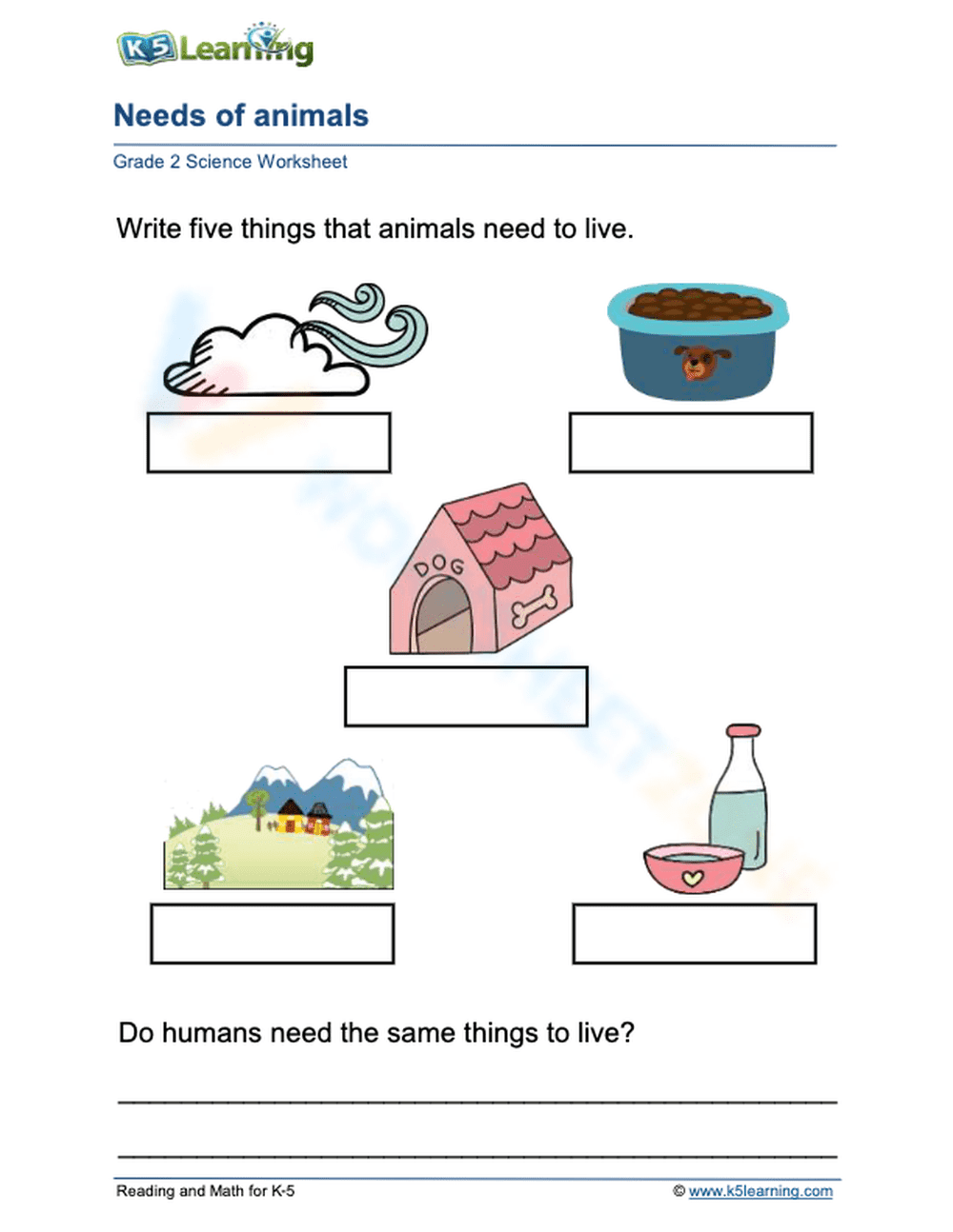 Essential Needs of Animals Worksheet | Grade 1 Science - Page 1