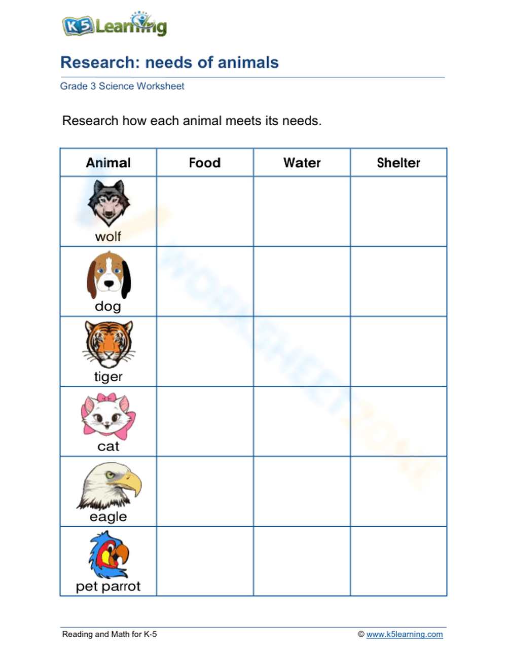 Grade 3 Needs of Animals — Essential Printable Worksheet - Page 1