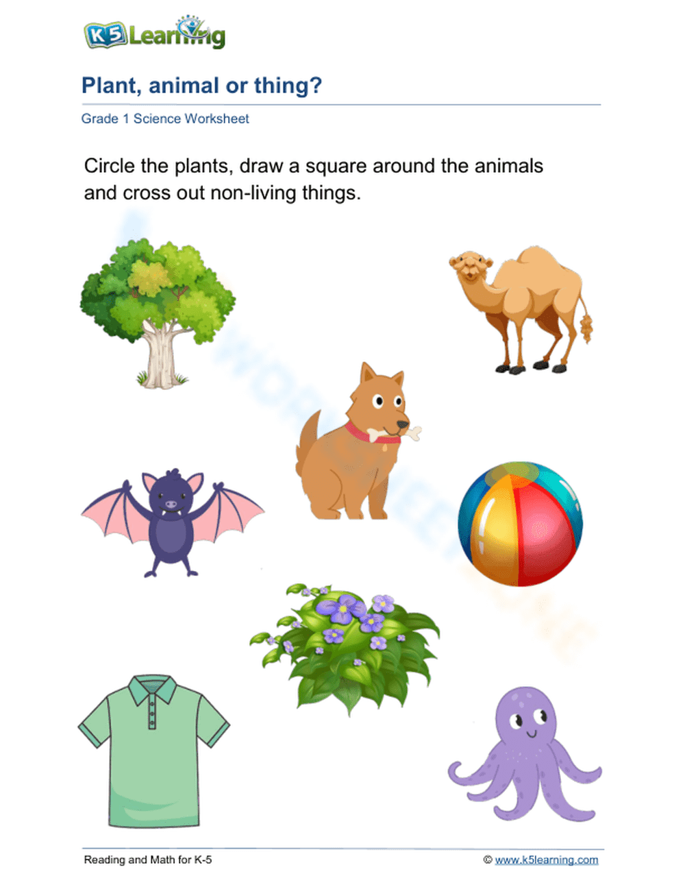 Essential Living and Non-Living Things Worksheet | Grade 1 - Page 1
