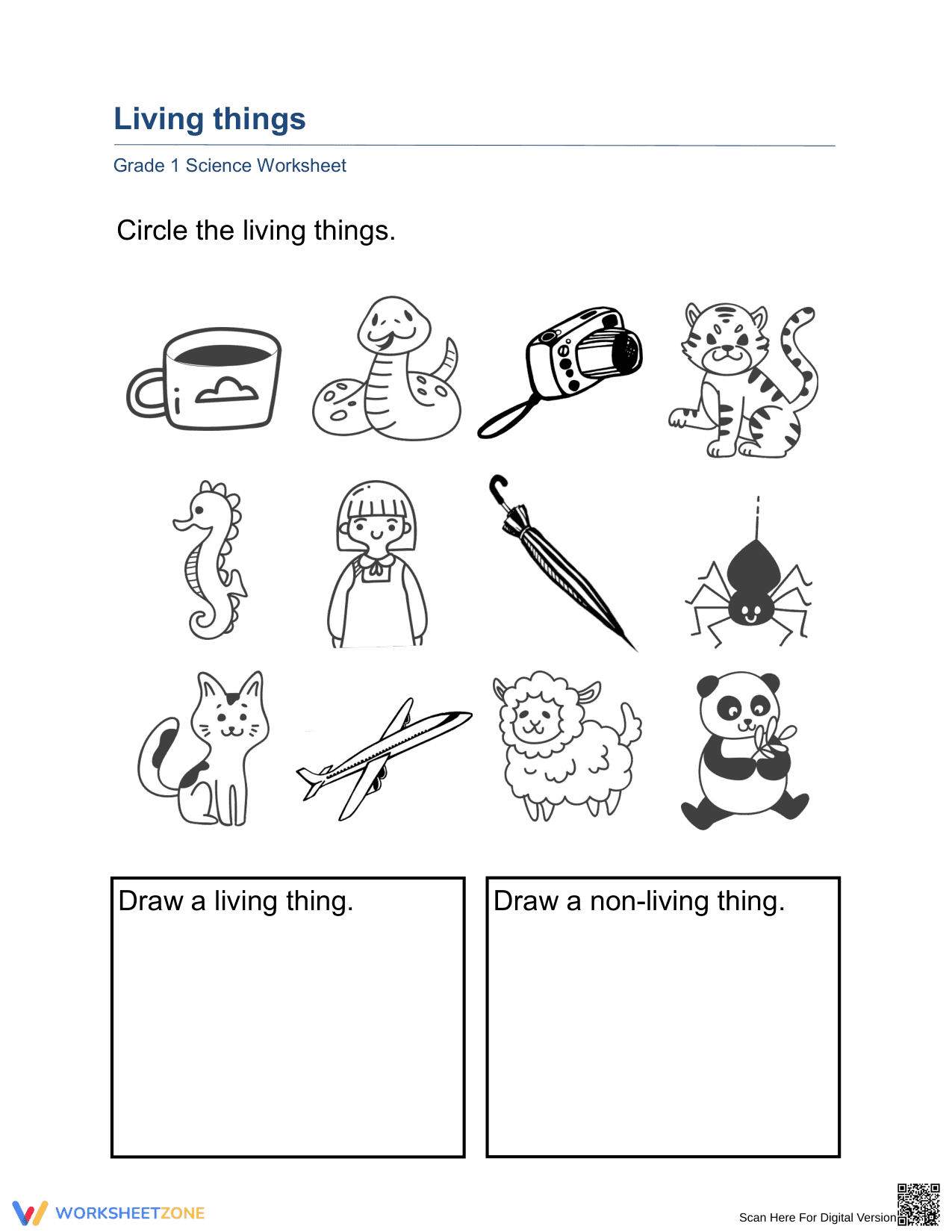 Essential Grade 1 Living and Non-living Things Worksheet - Page 1