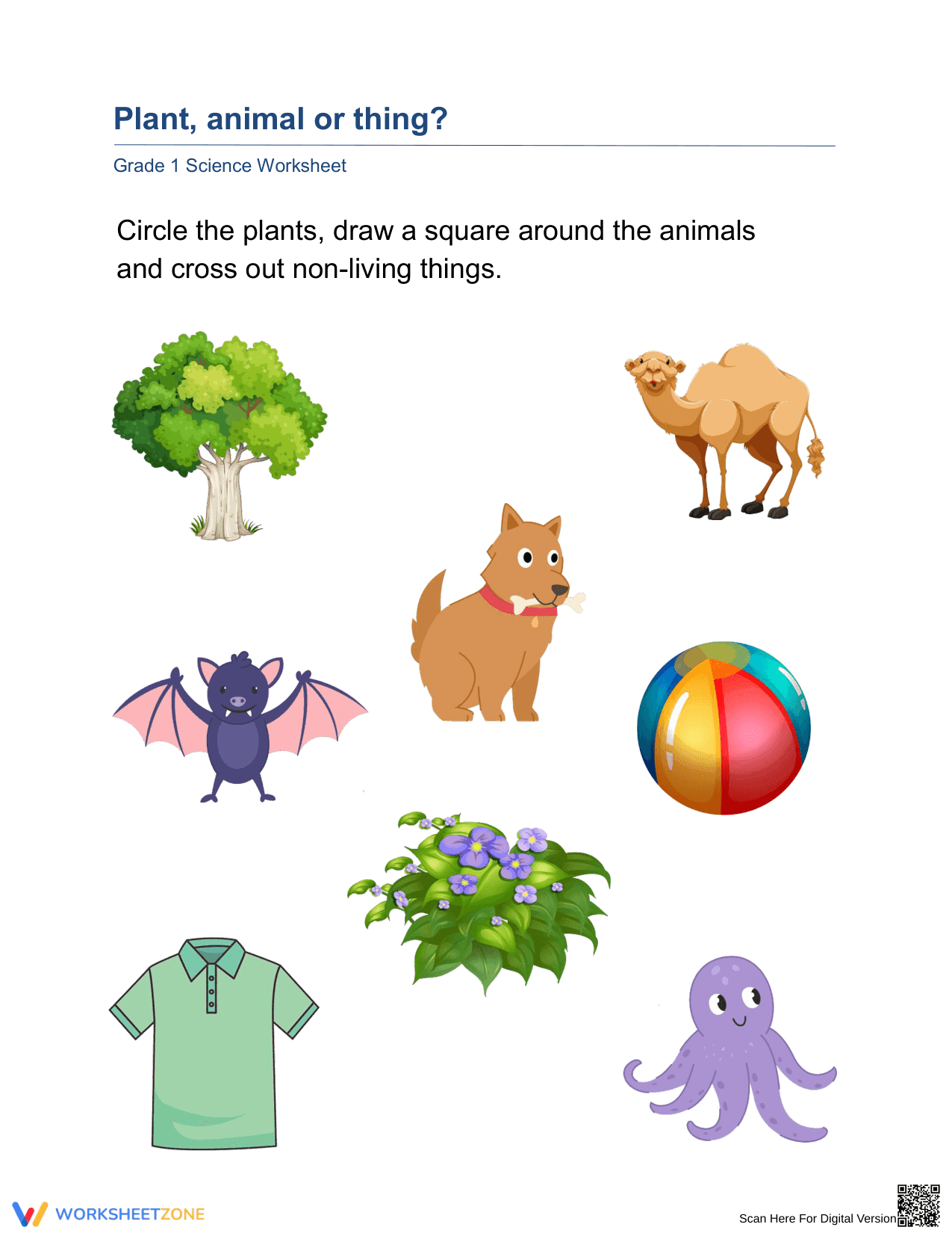 Essential Grade 1 Plants, Animals & Non-Living Things WS - Page 1