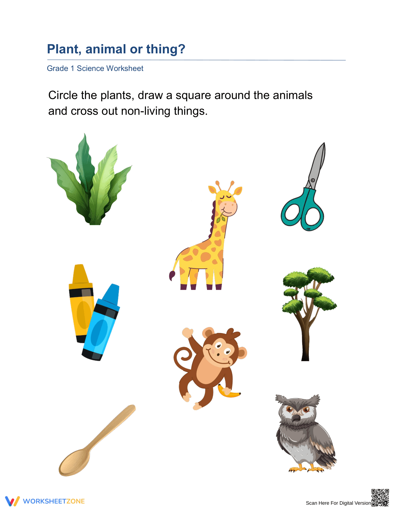 Essential Grade 1 Living and Non-Living Things Worksheet - Page 1