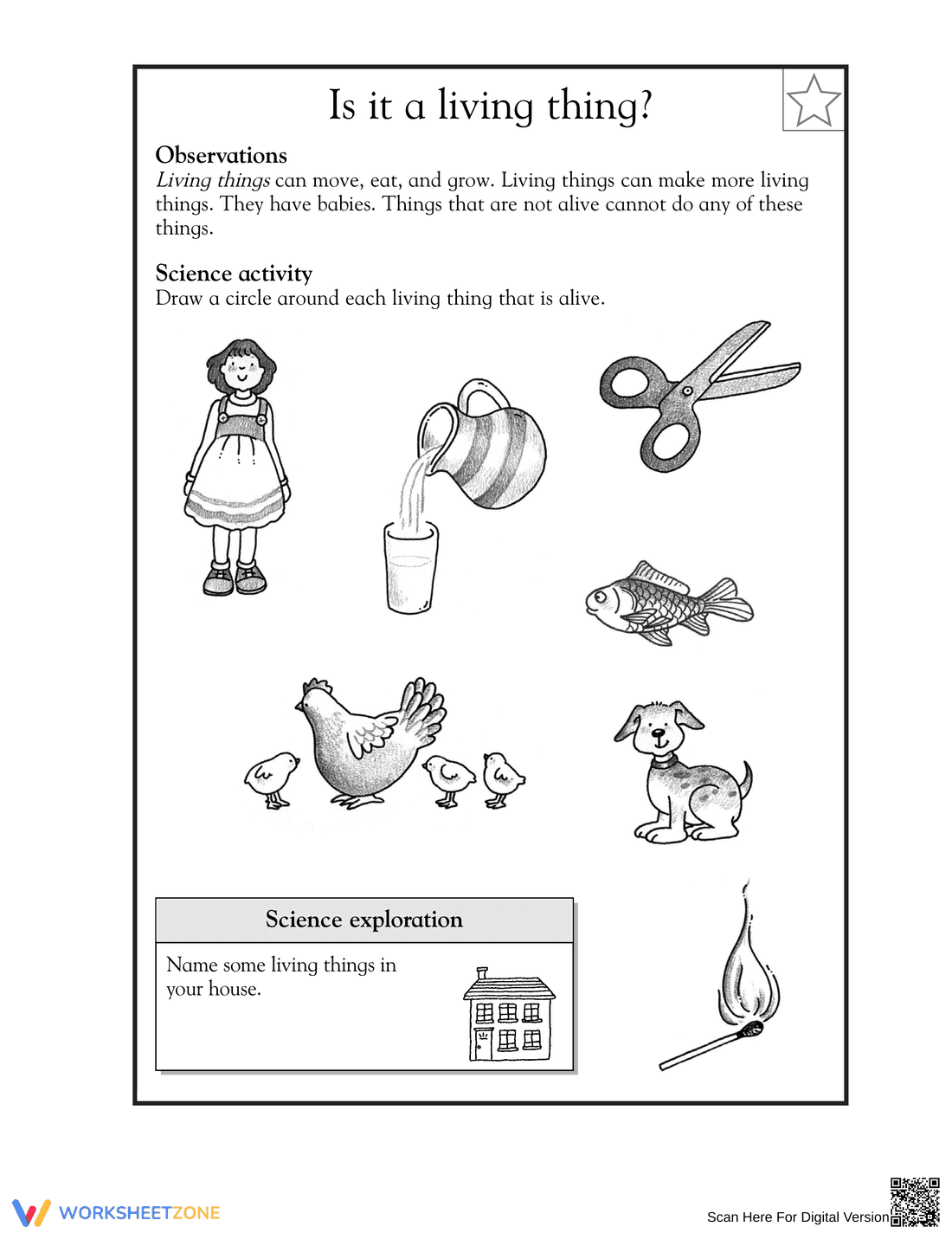 Essential Grade 1 Living Things — No-Prep Science Worksheet - Page 1