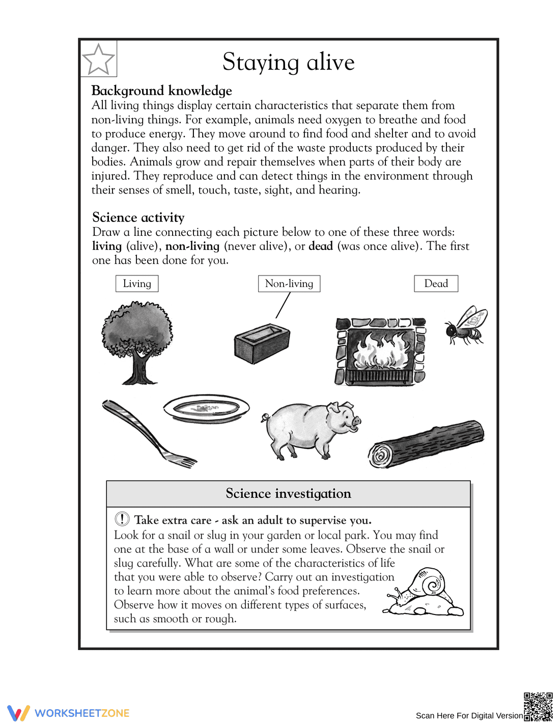 Grade 5 Living or Non-Living — Essential No-Prep Worksheet - Page 1