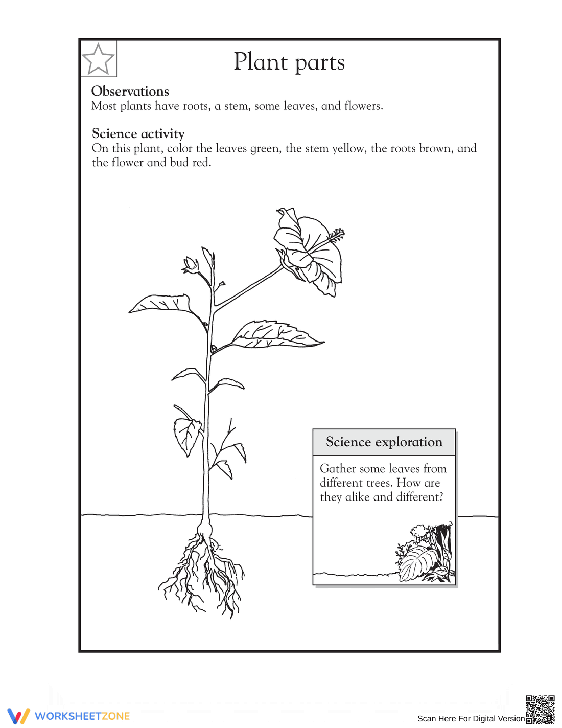 Essential Plant Parts Worksheet | Grade 1-2 Science - Page 1