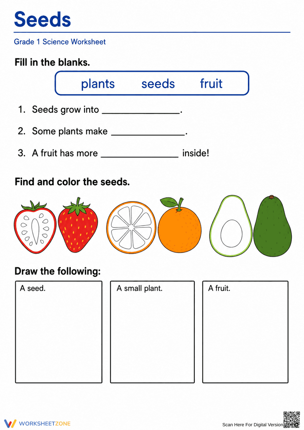 Essential Grade 1 Seeds and Plant Life Cycle Worksheet - Page 1