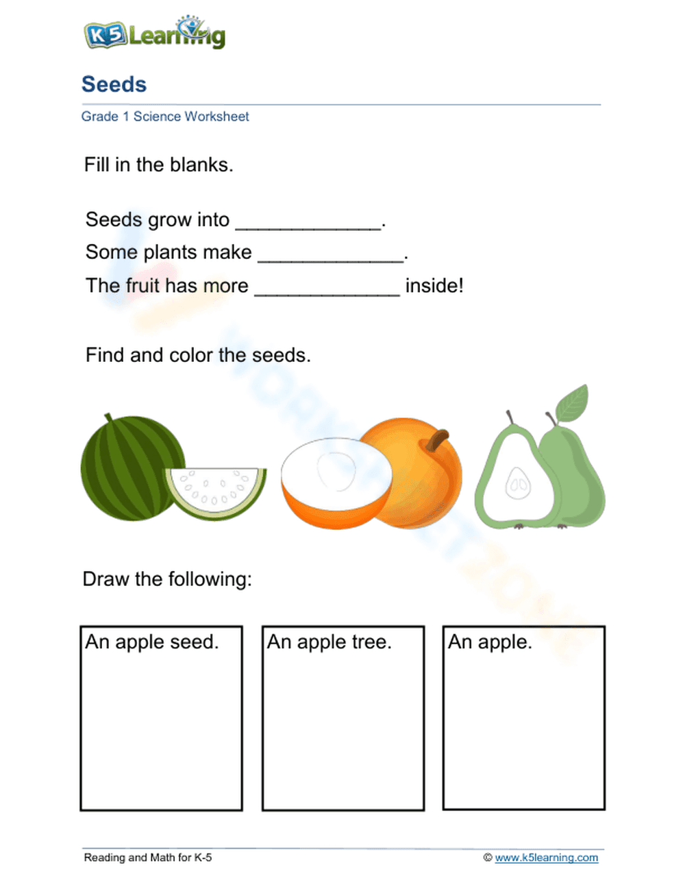 Essential Apple Plant Life Cycle Worksheet | Grade 1 - Page 1