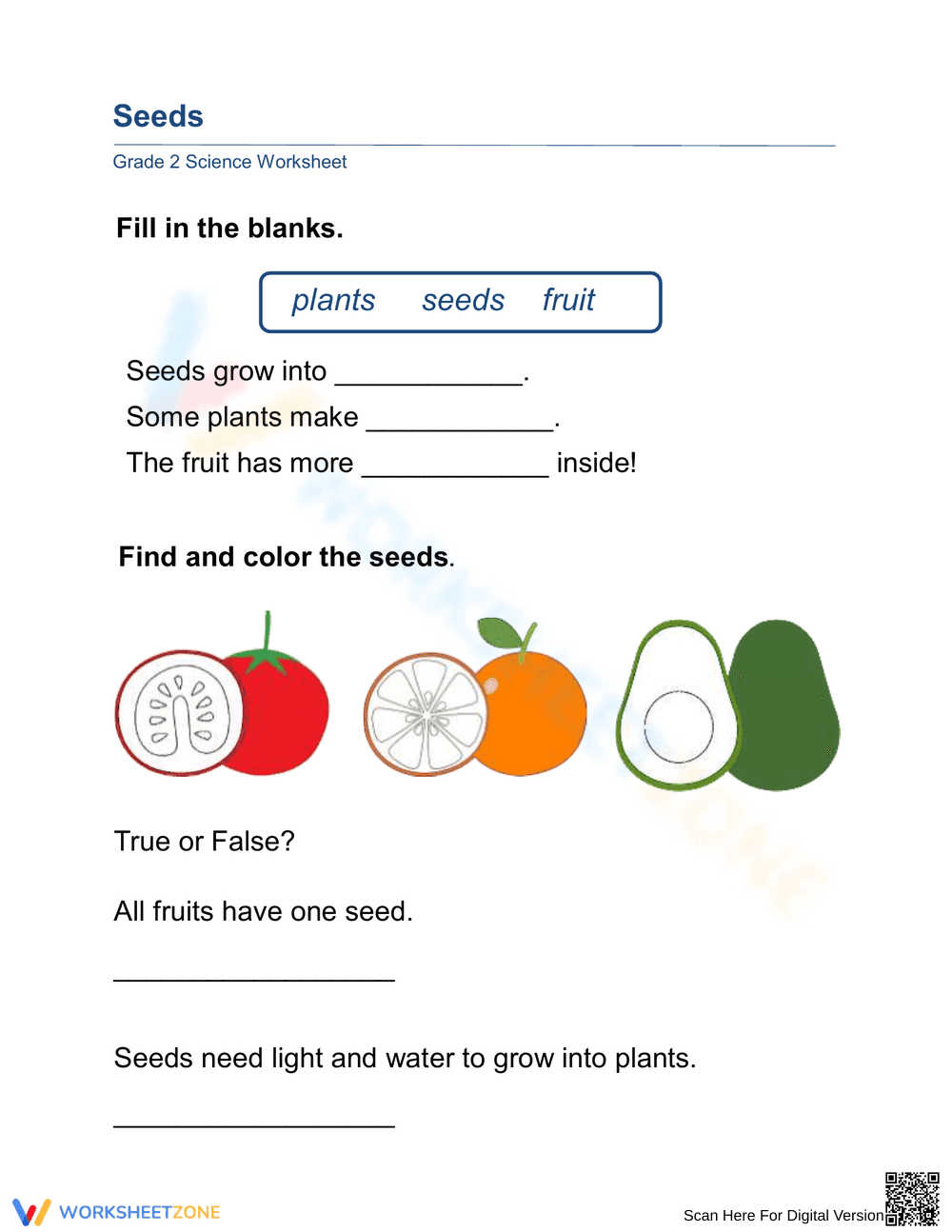 Grade 2 Plant Seeds — Essential Printable No-Prep Worksheet - Page 1