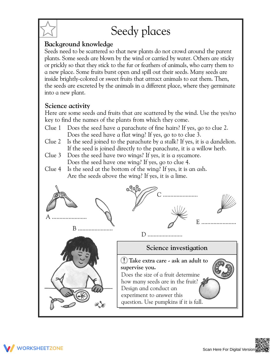Grade 3 How Seeds Scatter — Printable No-Prep Worksheet - Page 1
