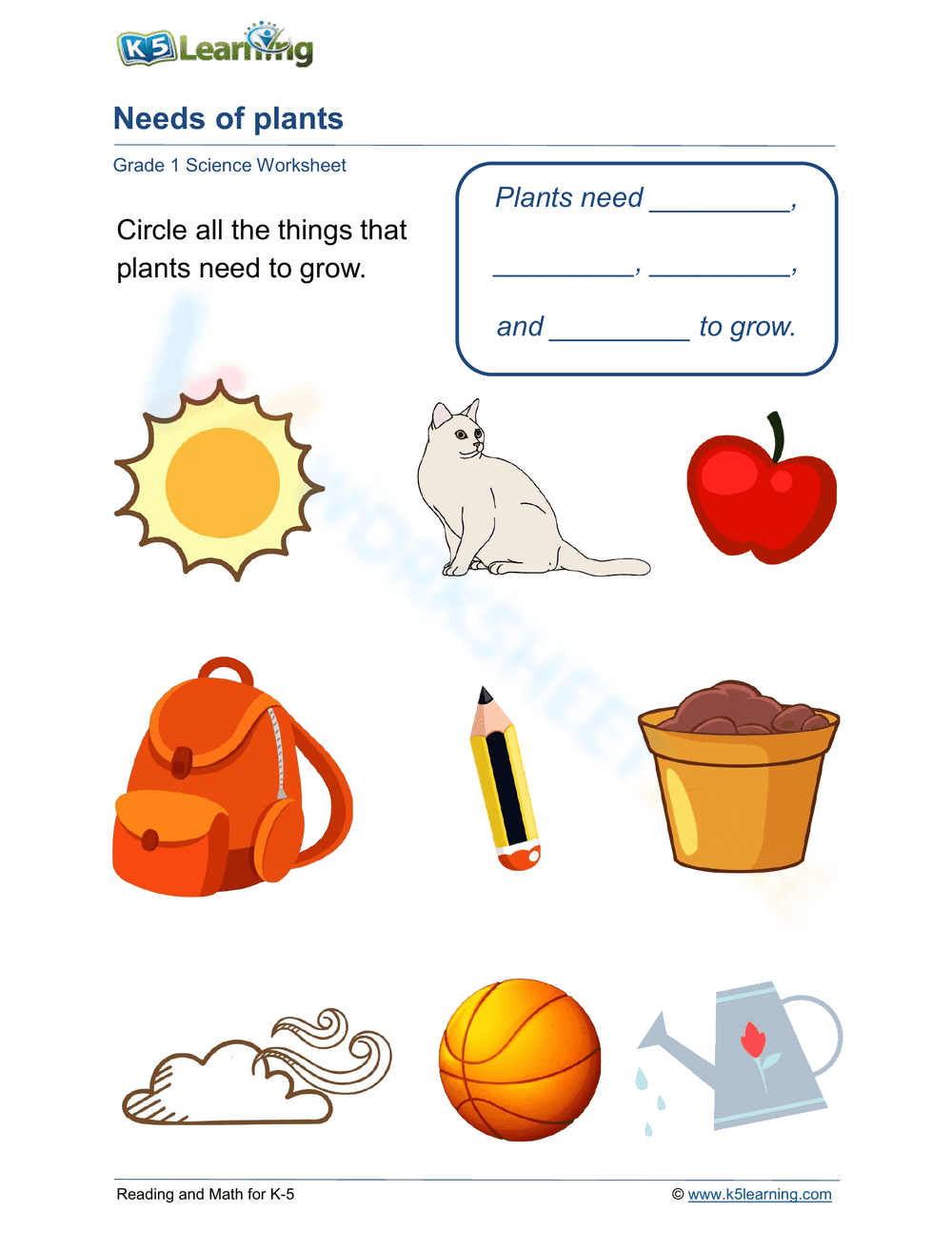 Grade 1 Needs of Plants — Printable No-Prep Worksheet - Page 1