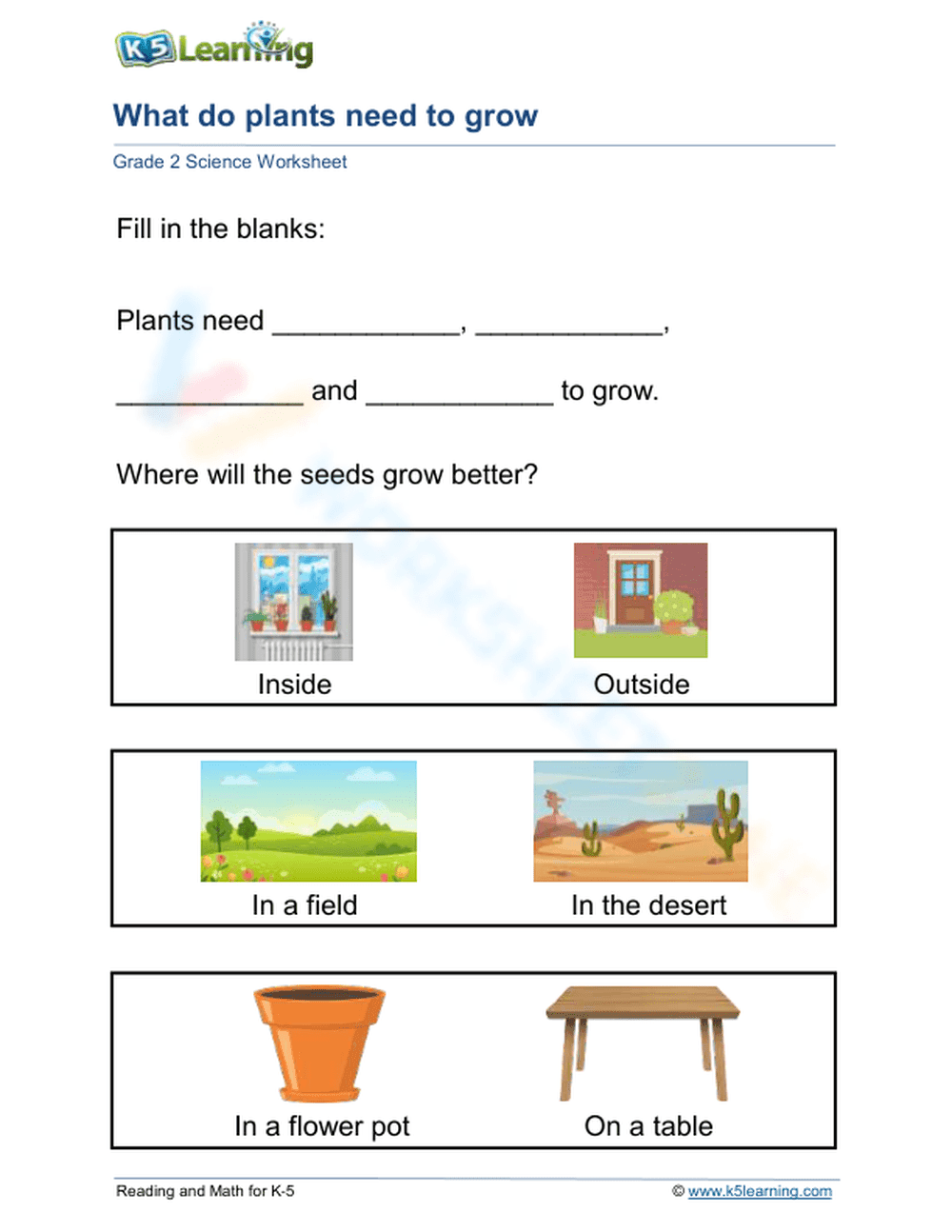 Essential Grade 2 Science: What Plants Need to Grow - Page 1