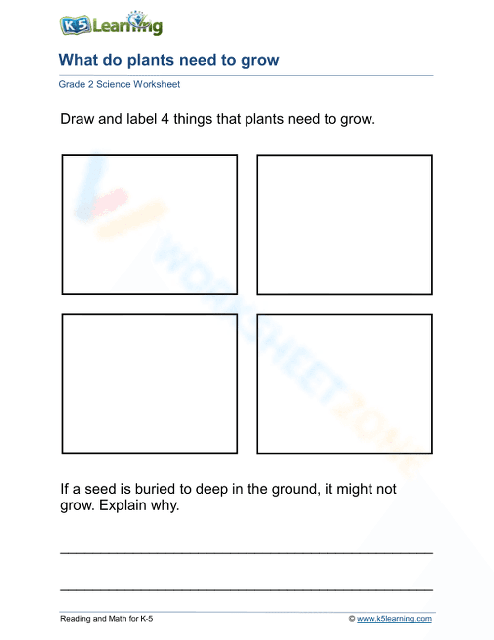 Plant Growth Essentials Drawing and Labeling Activity - Page 1