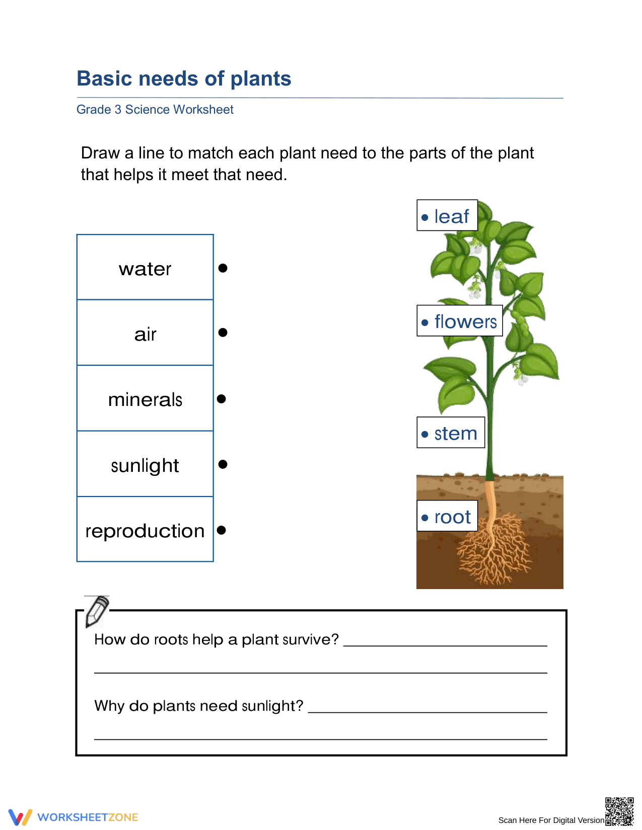 Printable Basic Needs of Plants Worksheet | Grade 3 Science - Page 1