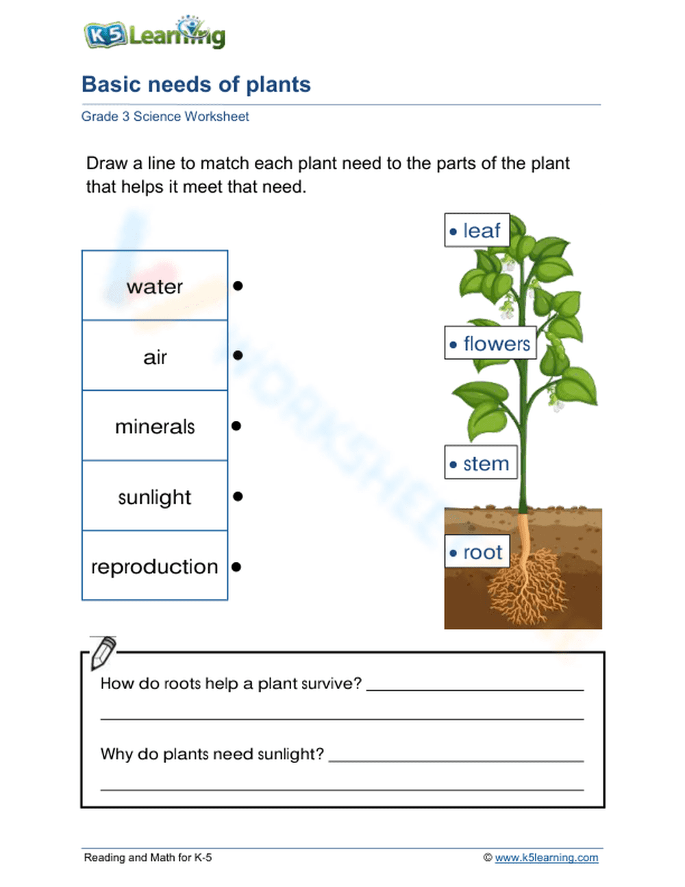 Printable Basic Needs of Plants Worksheet | Grade 3 Science - Page 1