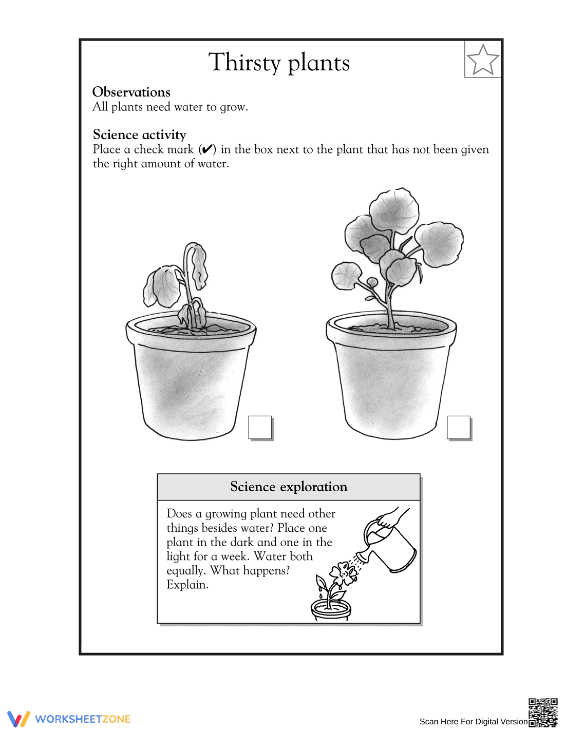 Grade 1 Plant Needs — Printable No-Prep Worksheet - Page 1