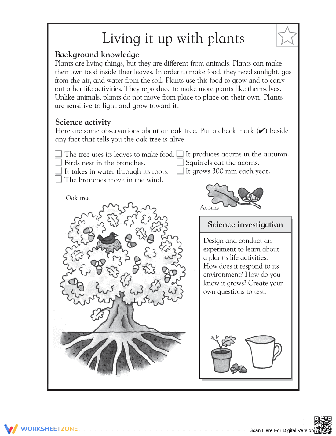 Grade 3 Plants — Printable Essential No-Prep Worksheet - Page 1