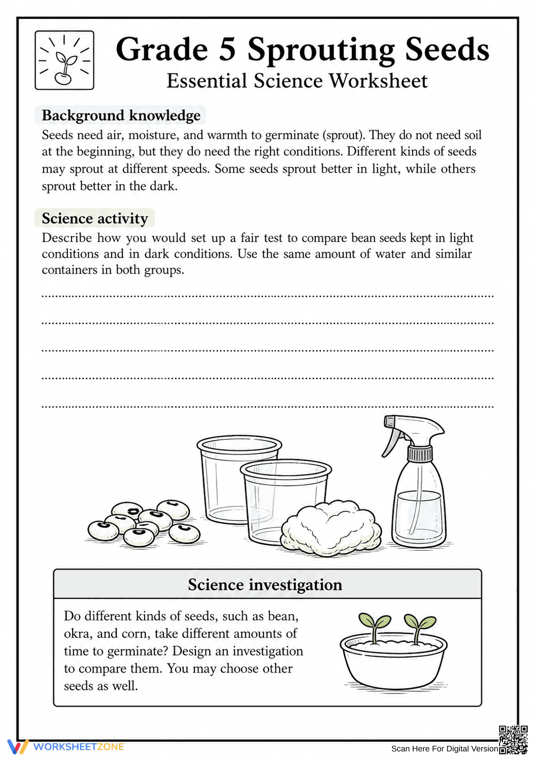Grade 5 Seed Germination — Printable No-Prep Worksheet - Page 1