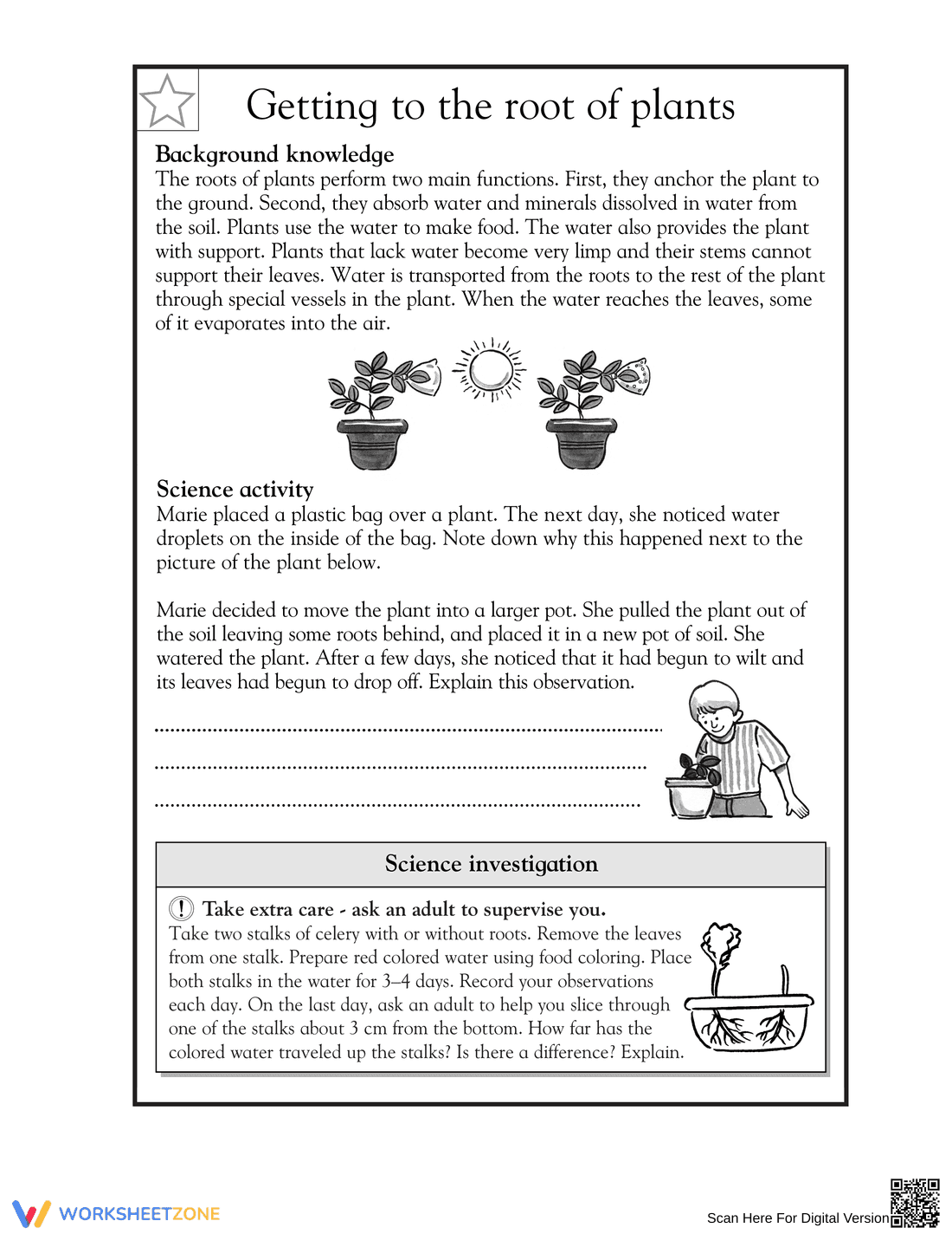 Essential Grade 5 Plant Roots Science Worksheet | Ready - Page 1