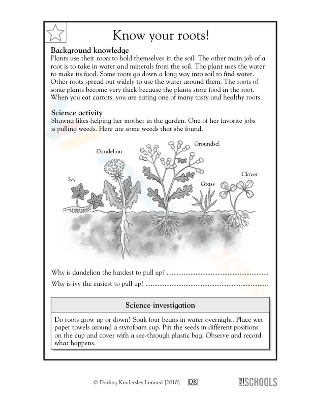 Grade 3-4 Plant Roots — Printable No-Prep Science Worksheet - Page 1