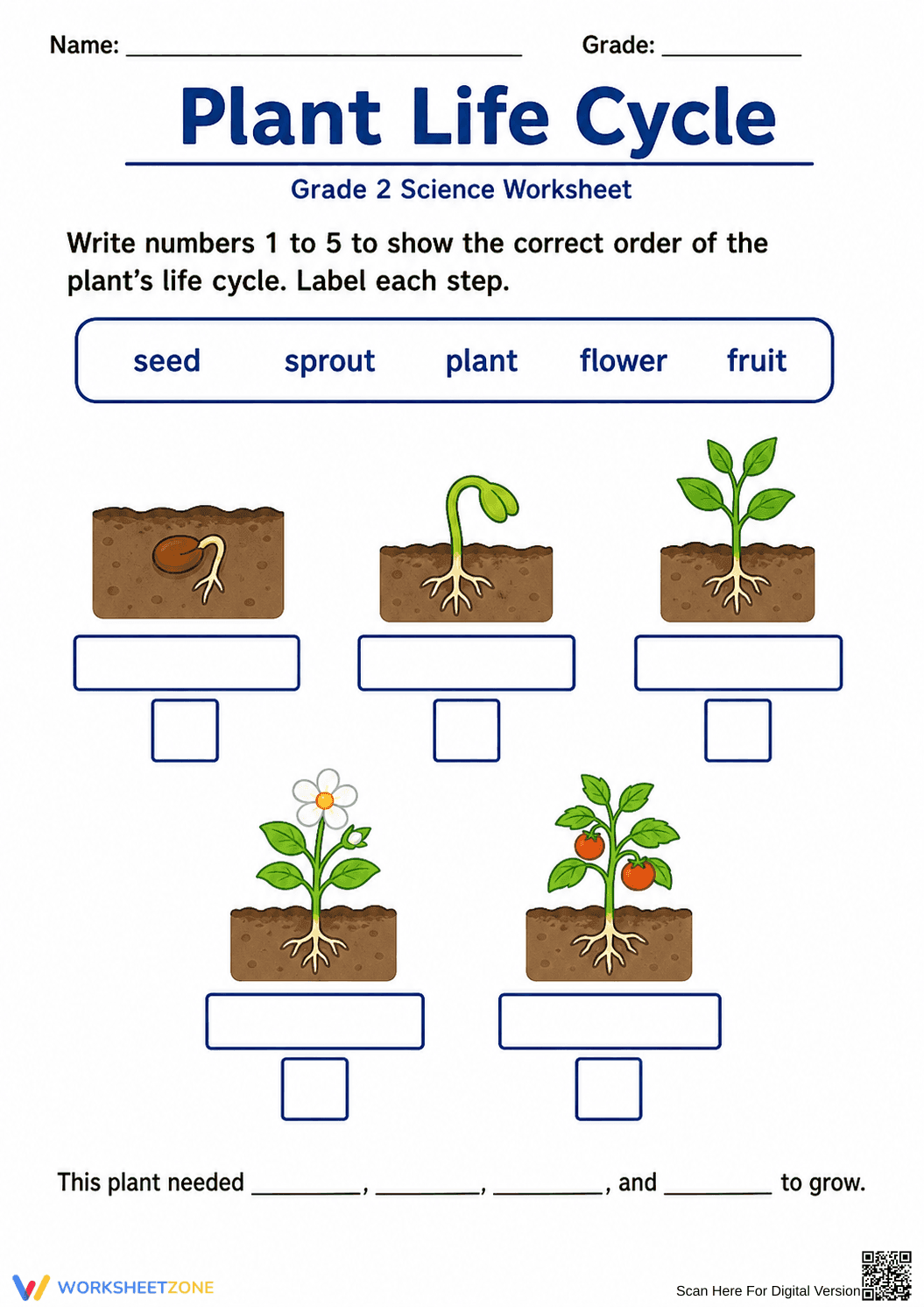 Essential Plant Life Cycle Worksheet | Grade 2 Science - Page 1