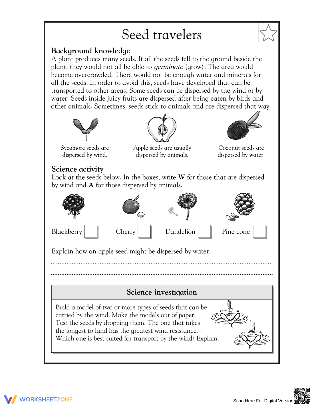 Grade 5 Seed Dispersal — Essential No-Prep Science Worksheet - Page 1
