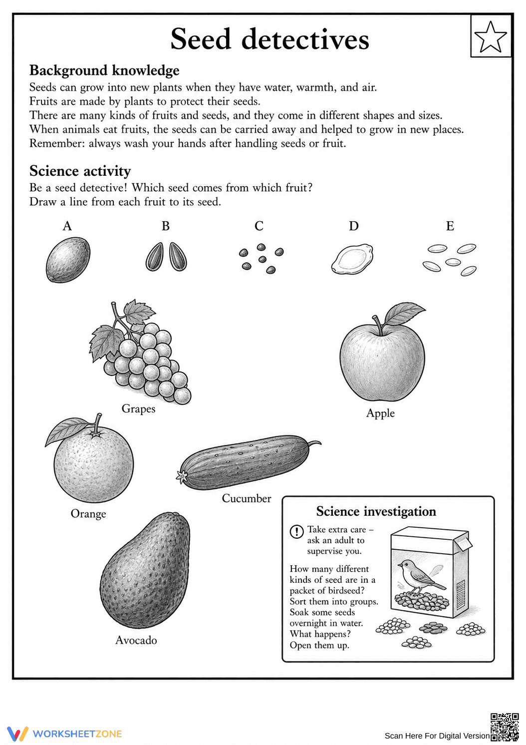 Grade 3 Seed Detectives — Printable No-Prep Worksheet - Page 1