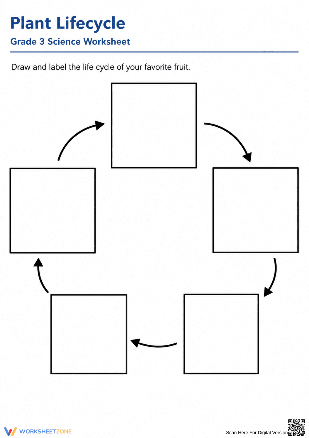 Grade 3 Plant Lifecycle — Printable No-Prep Worksheet - Page 1