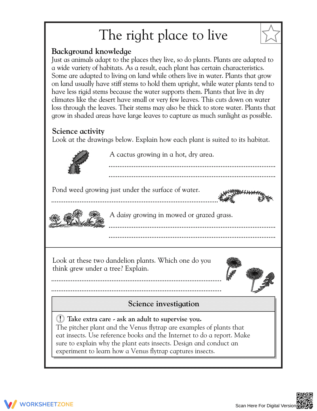 Printable Plant Adaptations Worksheet | Grade 5 Science - Page 1