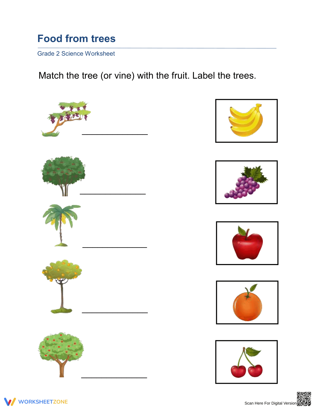 Grade 2 Trees and Fruits — Printable No-Prep Worksheet - Page 1