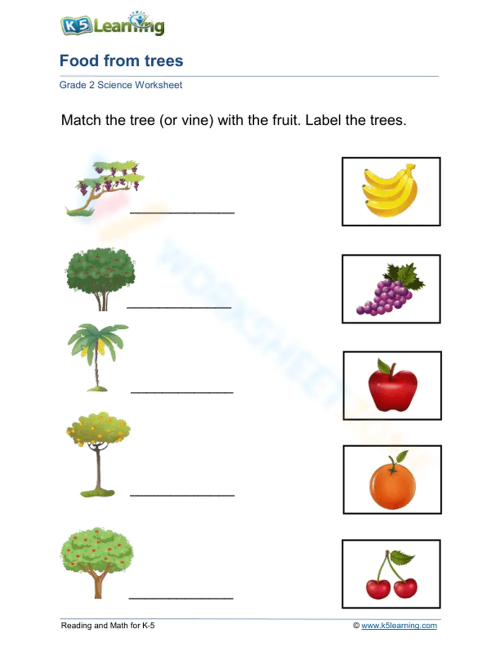 Grade 2 Trees and Fruits — Printable No-Prep Worksheet - Page 1