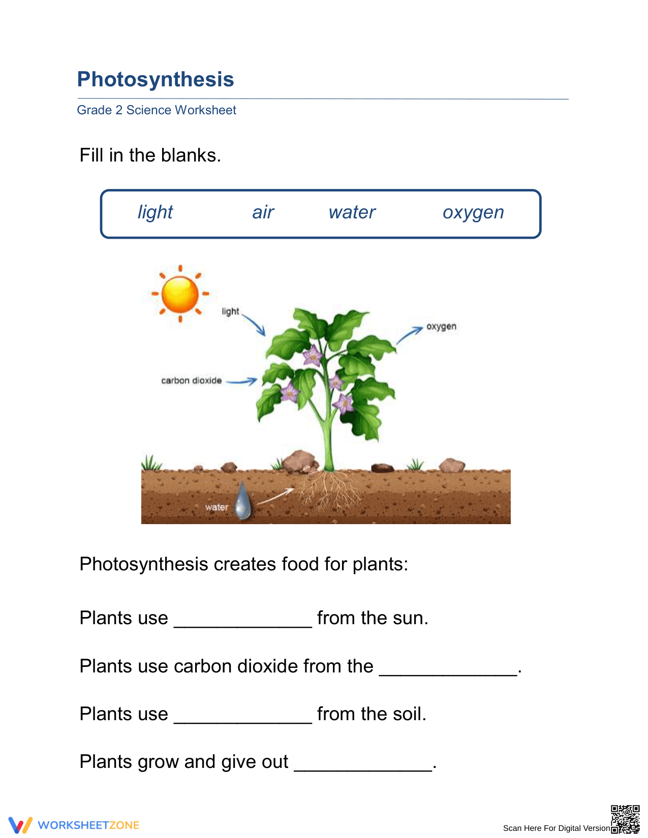 Essential Photosynthesis Worksheet | Grade 2 Science - Page 1