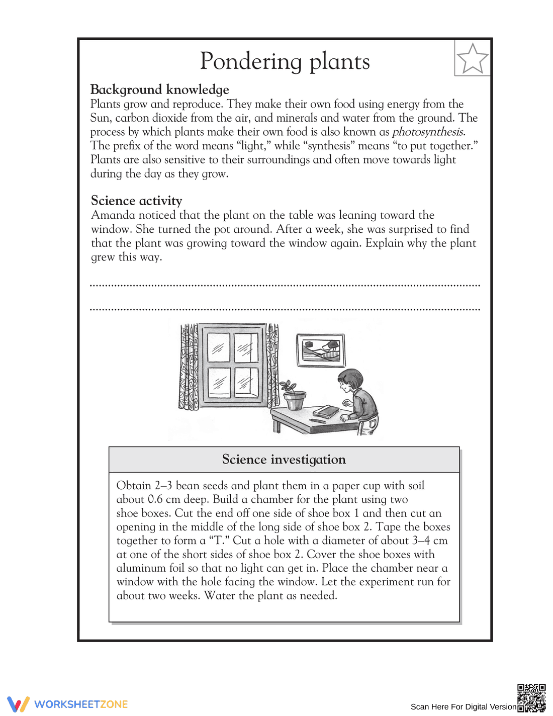 Essential Grade 5 Plant Growth & Photosynthesis Worksheet - Page 1