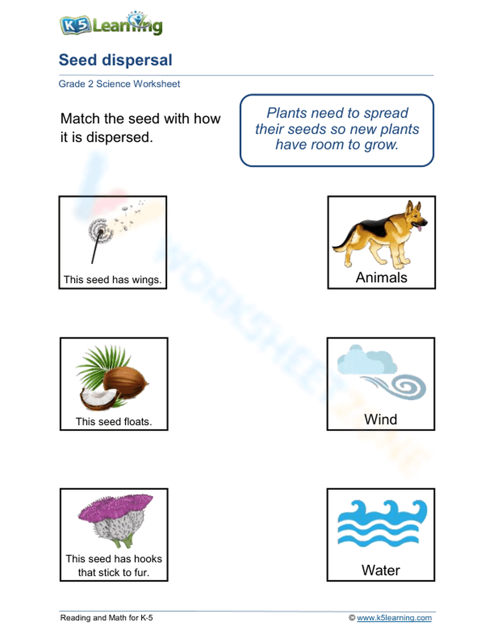 Essential Seed Dispersal Worksheet | Grade 2 Science - Page 1