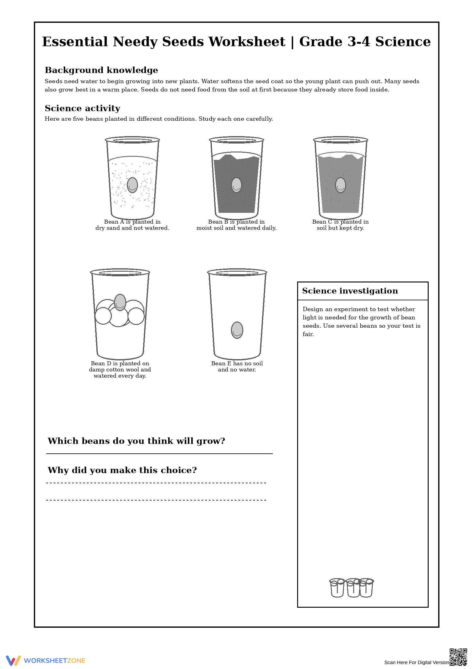 Essential Needy Seeds Worksheet | Grade 3-4 Science - Page 1