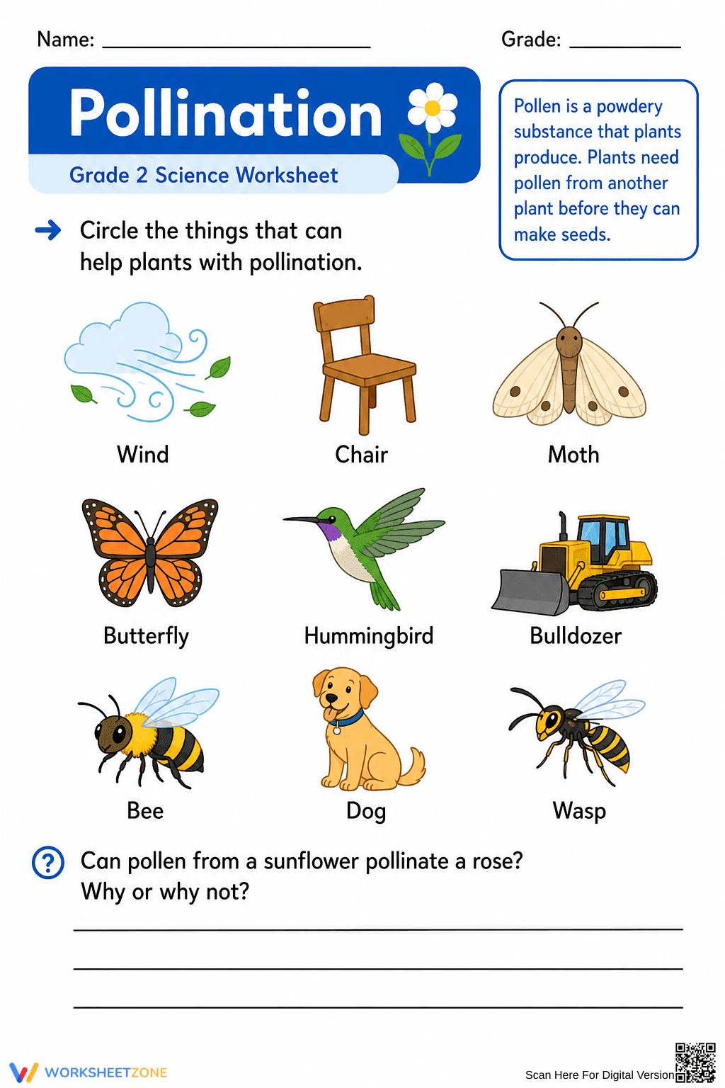 Grade 2 Pollination — Printable No-Prep Worksheet - Page 1