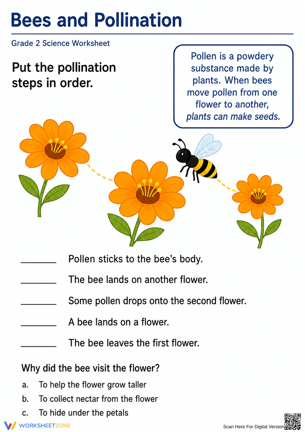 Bees and Pollination Worksheet | Essential Grade 2 Science - Page 1