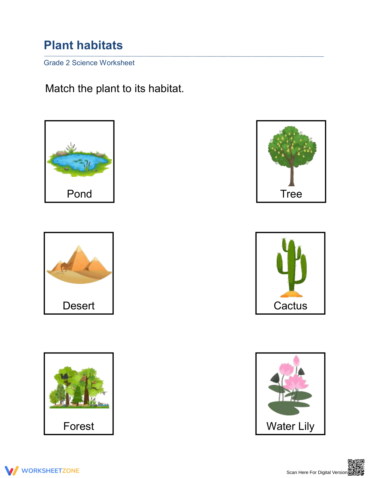 Plant Habitats Worksheet | Essential Grade 2 Science - Page 1