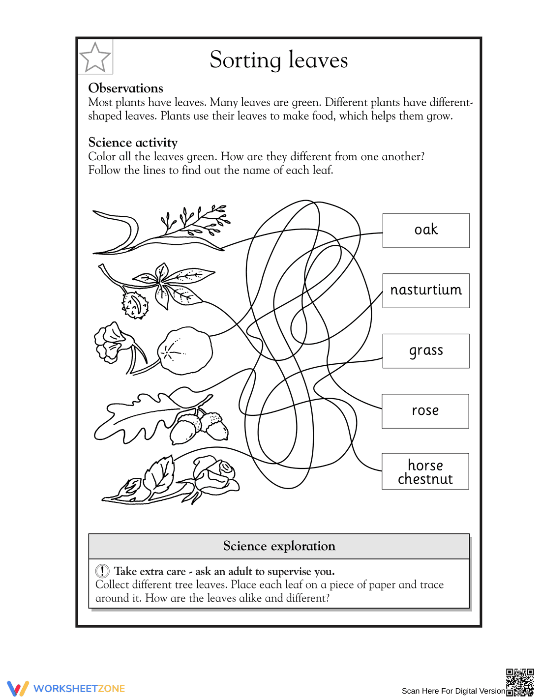 Printable Sorting Leaves Worksheet for Grade 1-2 Science - Page 1